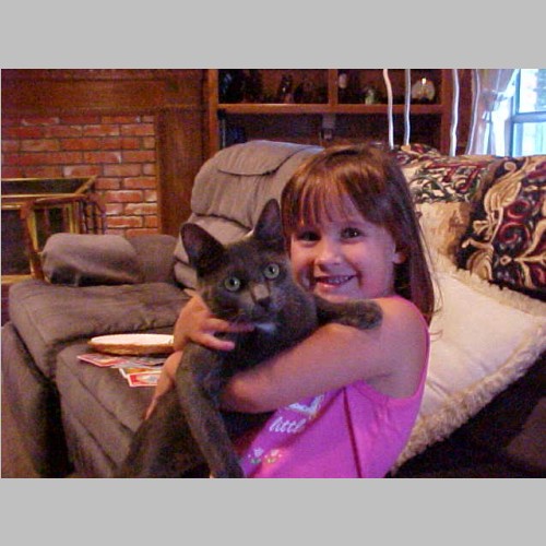 02-08-18__JHB_Kitty.jpg